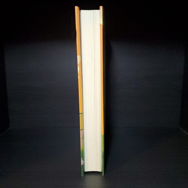 Sidelined - Image 4