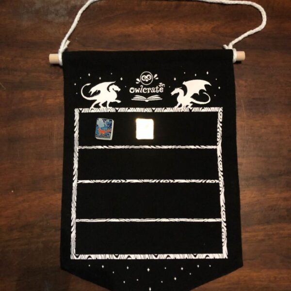 Owlcrate Jr. pin set and banner
