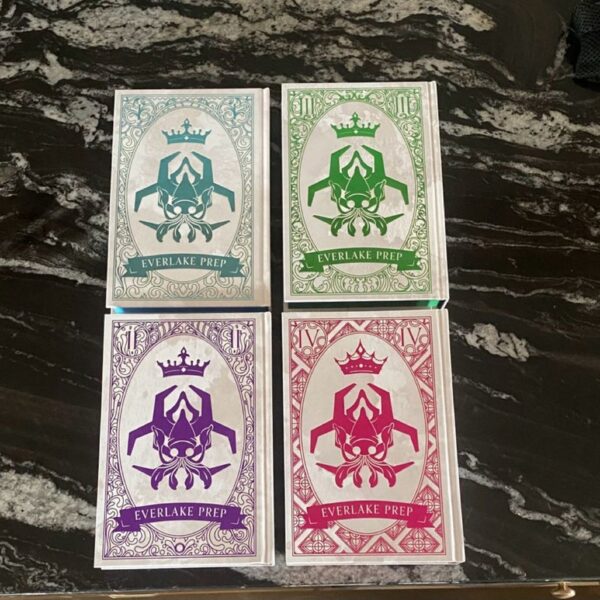 NEW Mystic Box special edition of Brutal Boys of Everlake Prep (Kings of Quarantine) - Image 4