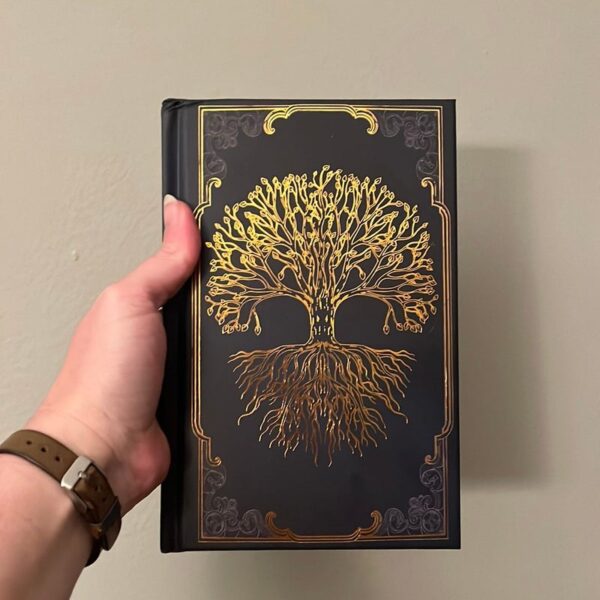 Fall of Ruin and Wrath (BOOKISH BOX) - Image 3