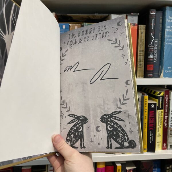 Our Crooked Hearts (Bookish Box) - Image 3